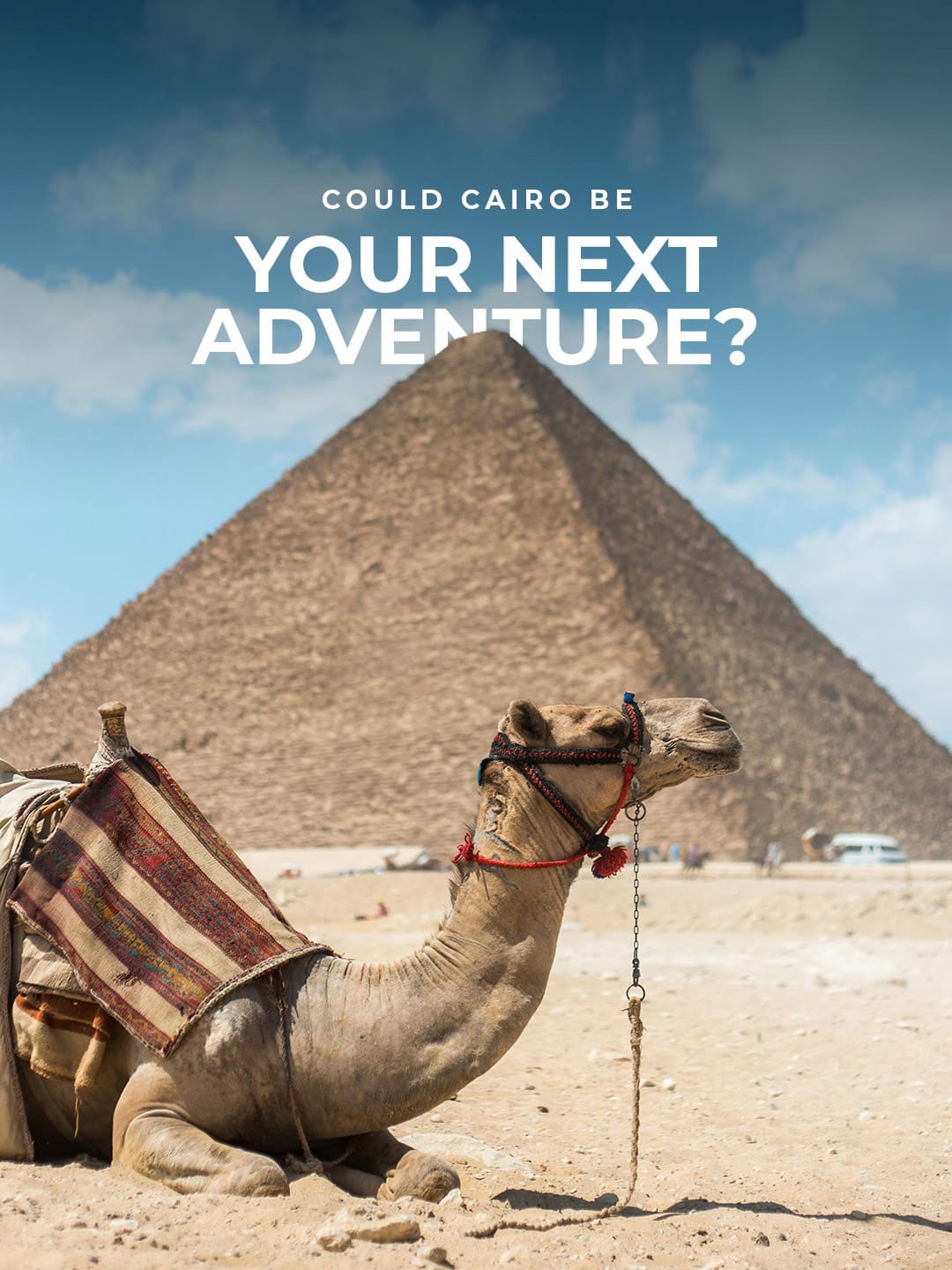 Could Cairo be your next adventure? - camel and pyramid